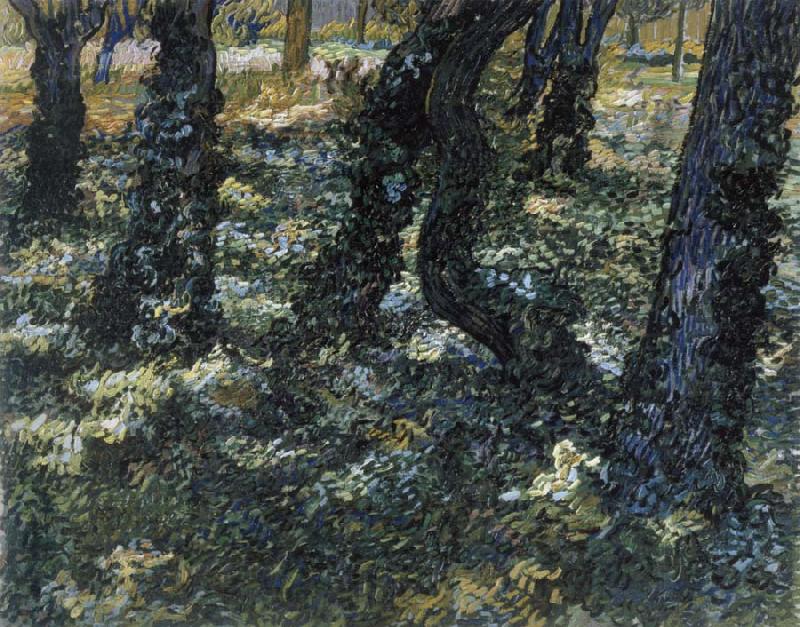 Vincent Van Gogh Undergrowth Spain oil painting art